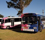 th_HensBus3
