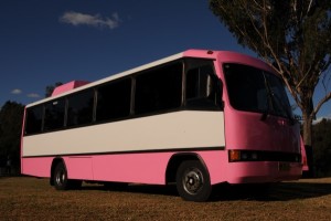 32 Seater Pink Party Bus