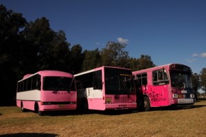 Pink Party Buses