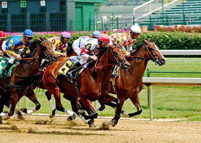 shuttle to the races